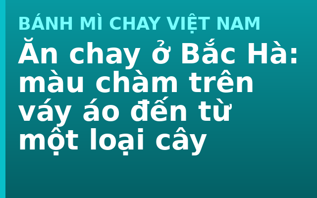 Ăn chay ở Bắc Hà: màu chàm trên váy áo đến từ một loại cây