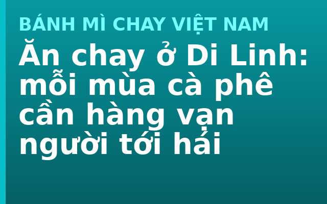 Ăn chay ở Di Linh: mỗi mùa cà phê cần hàng vạn người tới hái