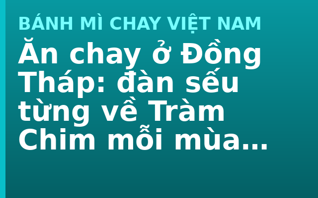 Ăn chay ở Đồng Tháp: đàn sếu từng về Tràm Chim mỗi mùa khô