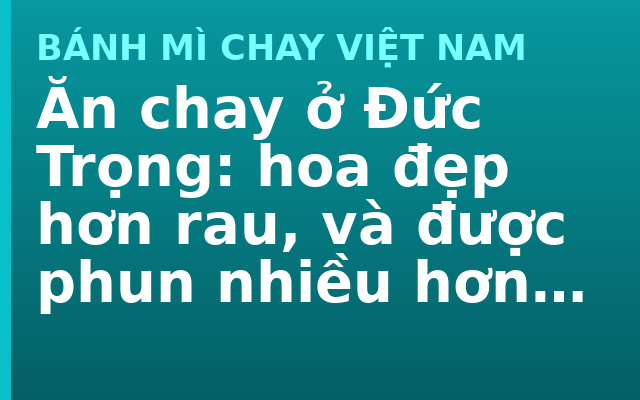 Ăn chay ở Đức Trọng: hoa đẹp hơn rau, và được phun nhiều hơn rau