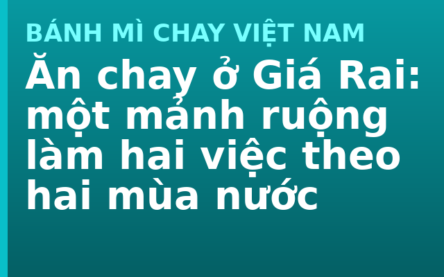Ăn chay ở Giá Rai: một mảnh ruộng làm hai việc theo hai mùa nước