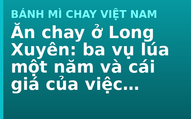 Ăn chay ở Long Xuyên: ba vụ lúa một năm và cái giá của việc không cho đất nghỉ