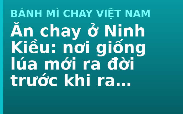 Ăn chay ở Ninh Kiều: nơi giống lúa mới ra đời trước khi ra ruộng