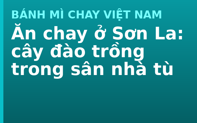 Ăn chay ở Sơn La: cây đào trồng trong sân nhà tù