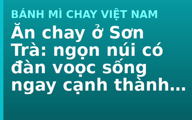 Ăn chay ở Sơn Trà: ngọn núi có đàn voọc sống ngay cạnh thành phố