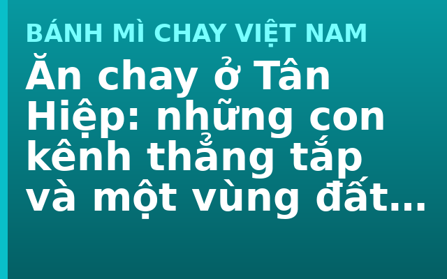 Ăn chay ở Tân Hiệp: những con kênh thẳng tắp và một vùng đất do người vẽ ra