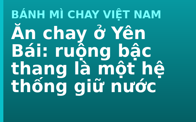 Ăn chay ở Yên Bái: ruộng bậc thang là một hệ thống giữ nước