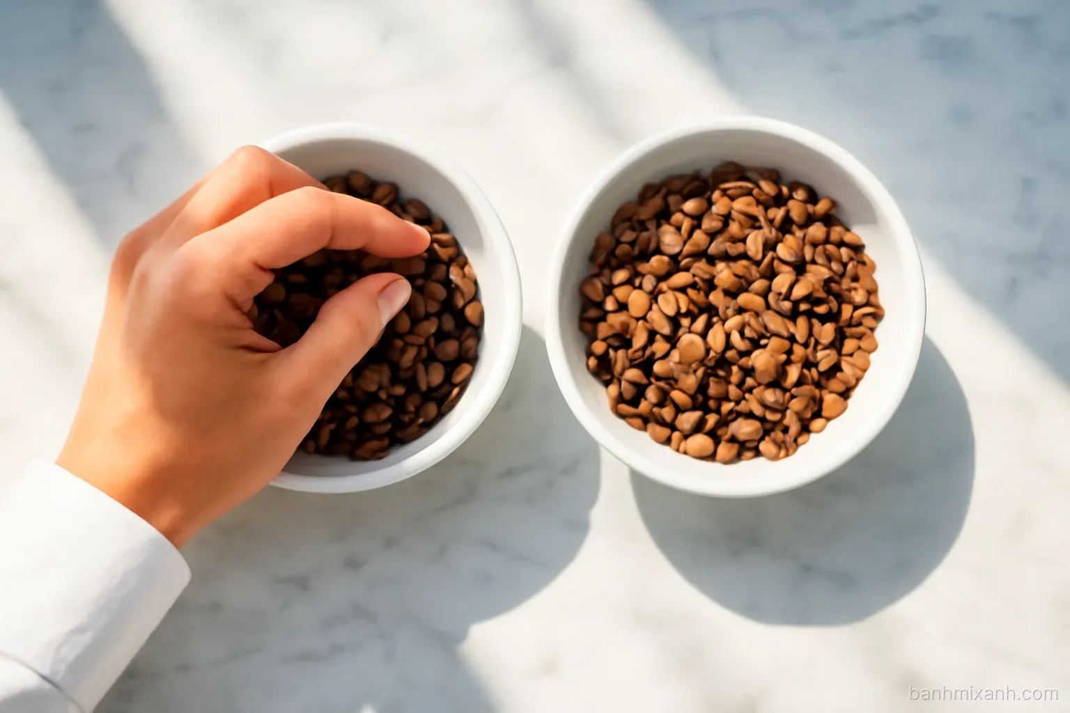 Robusta và Arabica: hai hạt cà phê Việt khác nhau thế nào khi uống